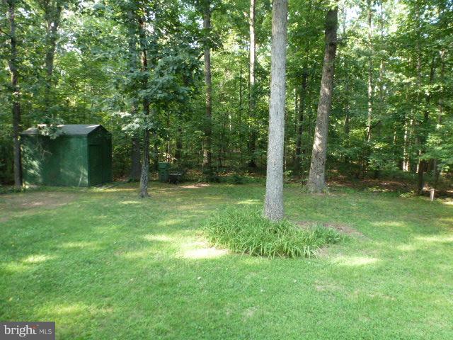 433 Pine Road Stephenson, VA 22656 - Photo 22 of 24 Rear Yard backs to woods and has~storage shed