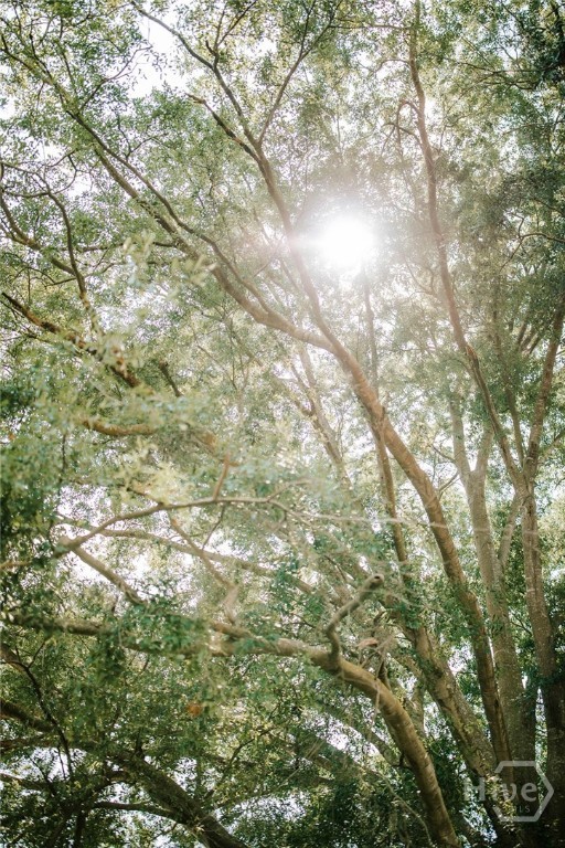 2985 Jackson Bridge Road Carnesville, GA 30521 - Photo 45 of 49