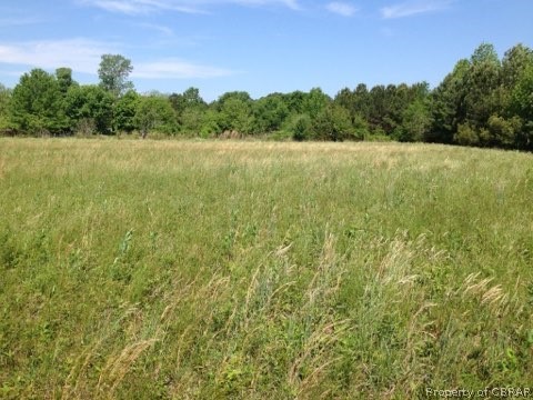 0 Gdn Crk Road Mathews, VA 23109 - Photo 5 of 8