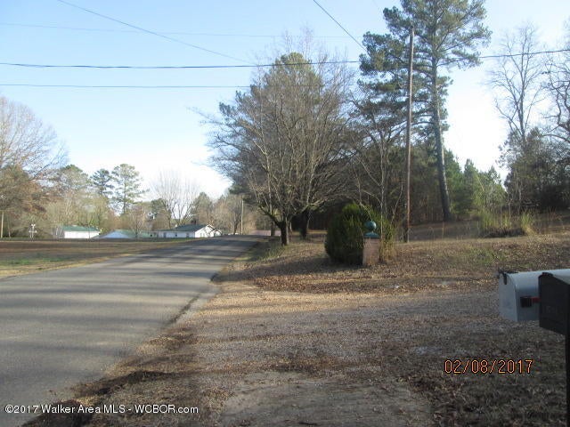 1501 Highland Road Winfield, AL 35594 - Photo 25 of 25 Gallery Image 25