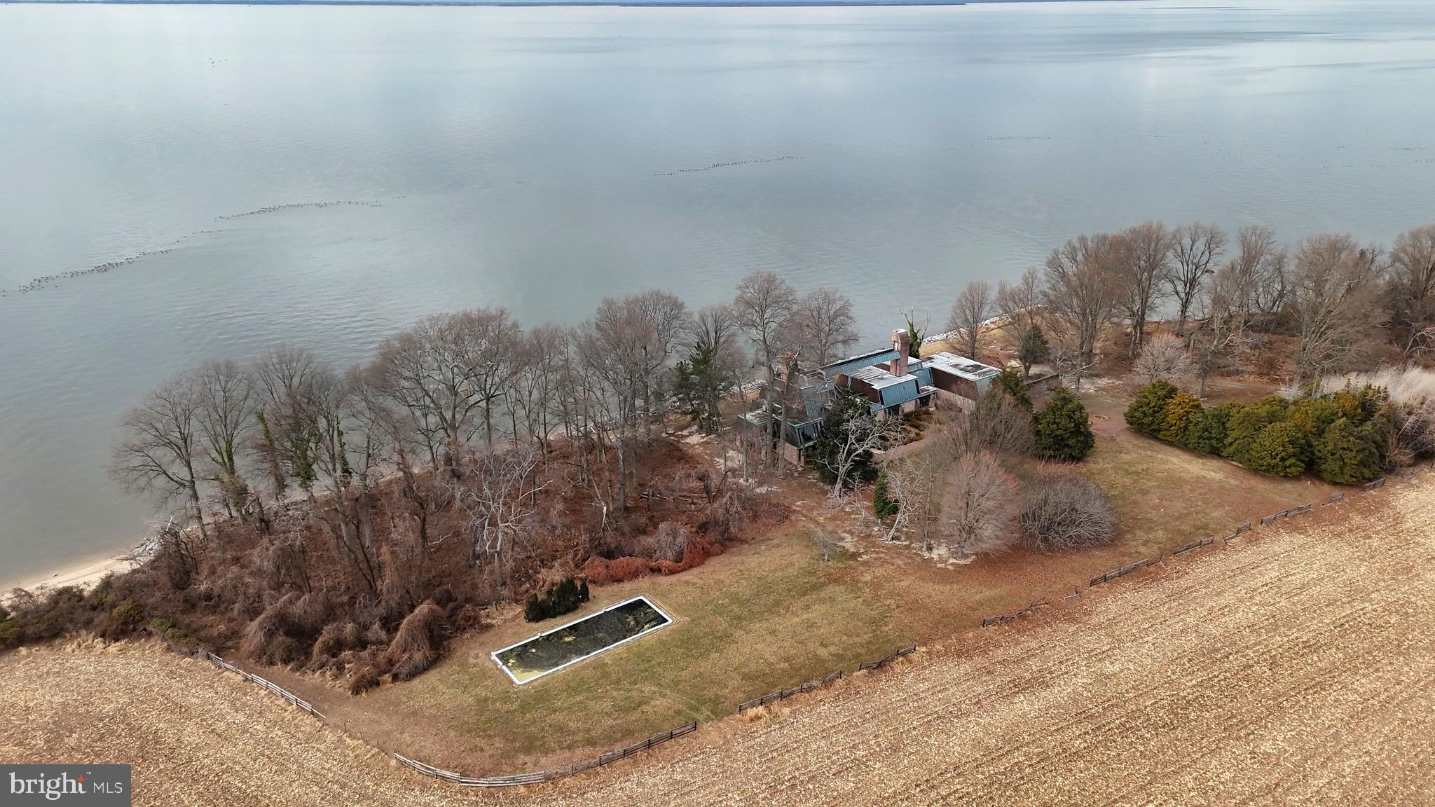 6520 Swan Creek Road Rock Hall, MD 21661 - Photo 20 of 62 a view of a dry yard with trees