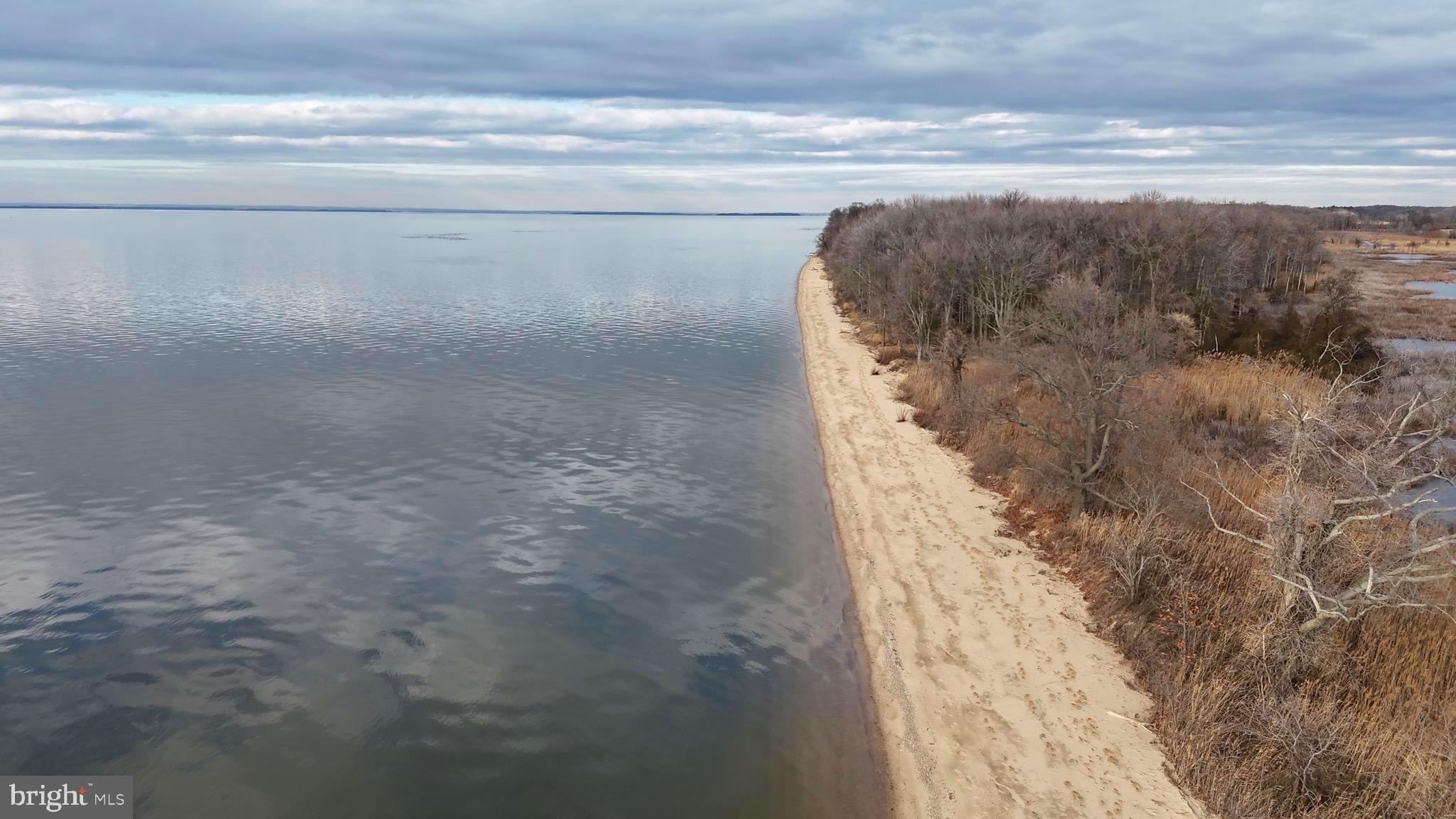 6520 Swan Creek Road Rock Hall, MD 21661 - Photo 2 of 62