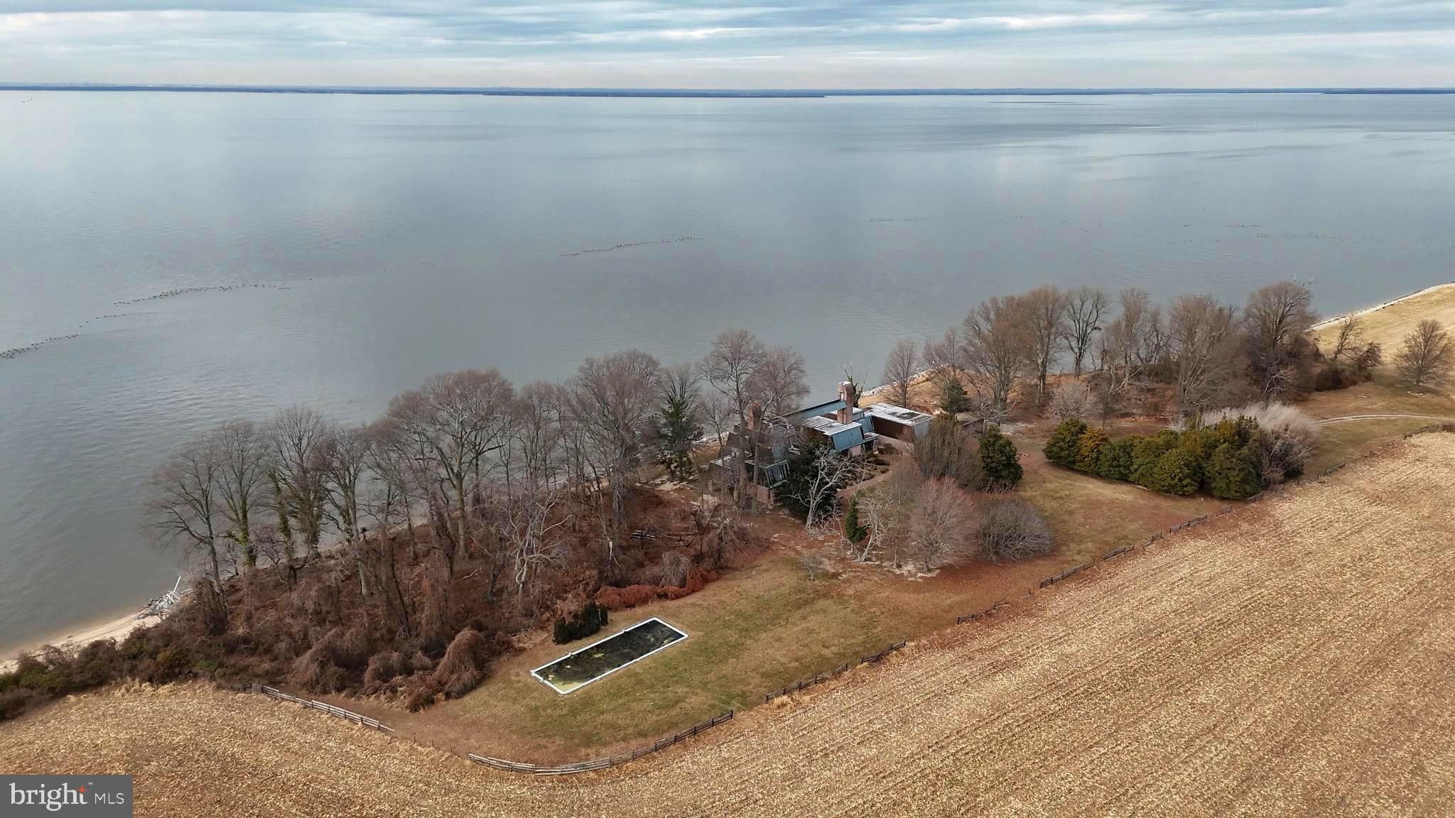 6520 Swan Creek Road Rock Hall, MD 21661 - Photo 21 of 62 a view of a plant in a field