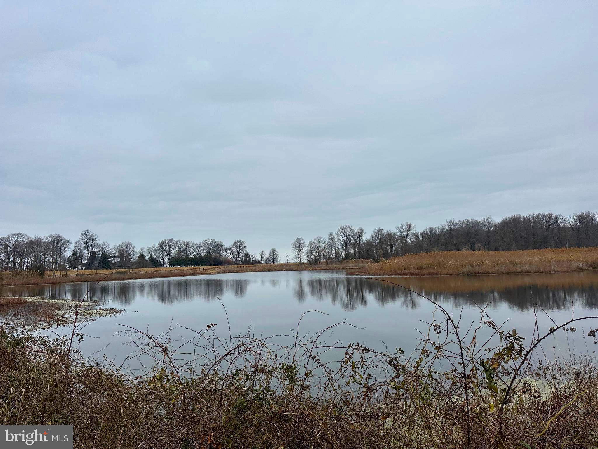 6520 Swan Creek Road Rock Hall, MD 21661 - Photo 25 of 62 a view of a lake with a city