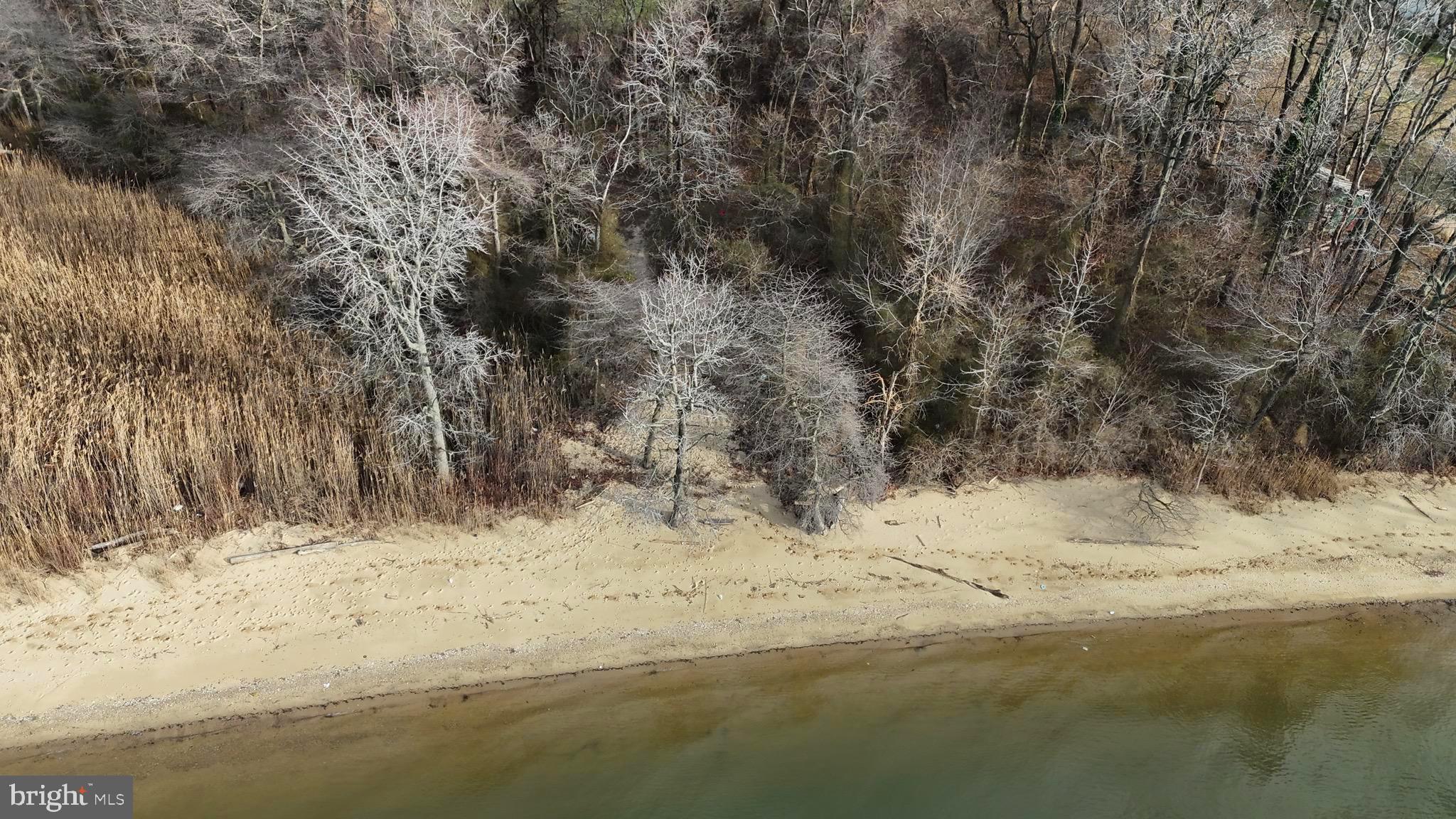 6520 Swan Creek Road Rock Hall, MD 21661 - Photo 32 of 62 a view of a snow on the road