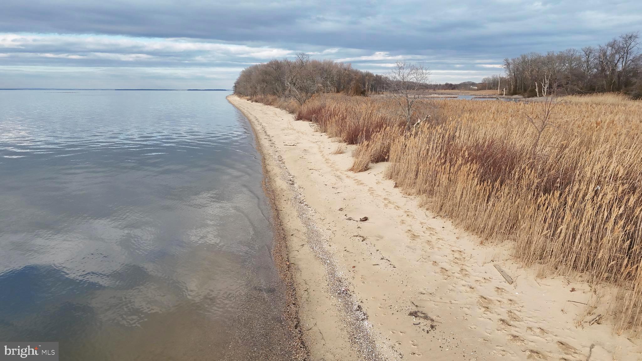 6520 Swan Creek Road Rock Hall, MD 21661 - Photo 38 of 62 a view of beach and ocean