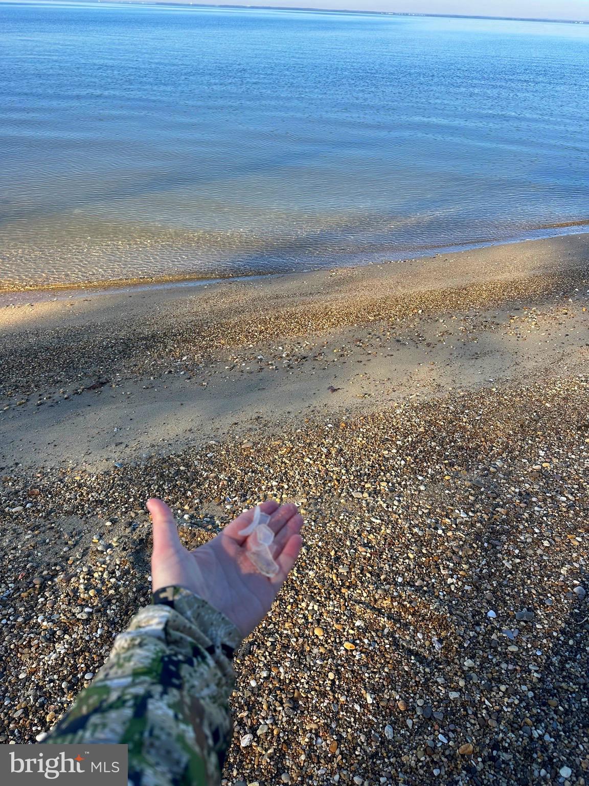 6520 Swan Creek Road Rock Hall, MD 21661 - Photo 39 of 62