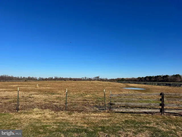 a view of a yard with wooden fence
