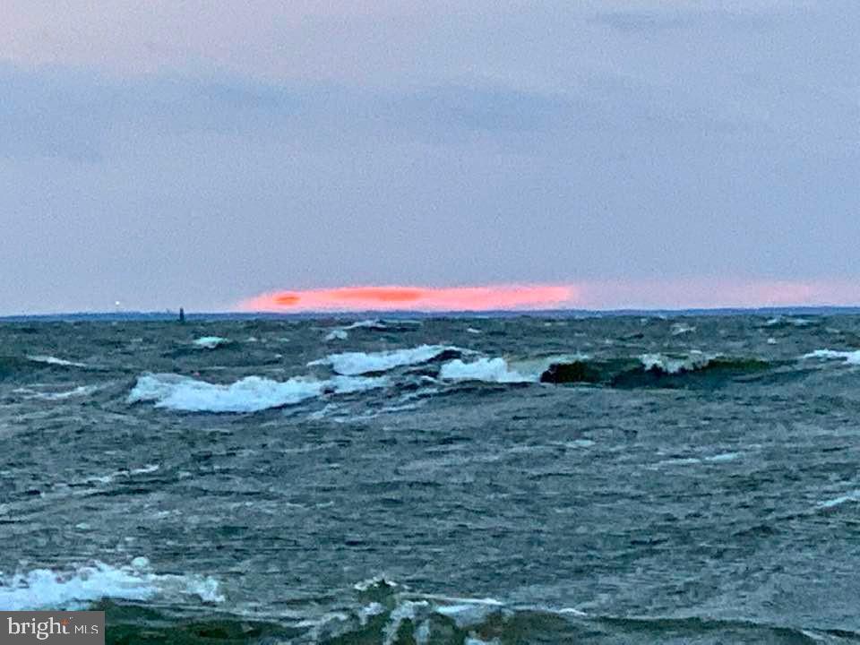 6520 Swan Creek Road Rock Hall, MD 21661 - Photo 44 of 62 a view of a dry yard with trees