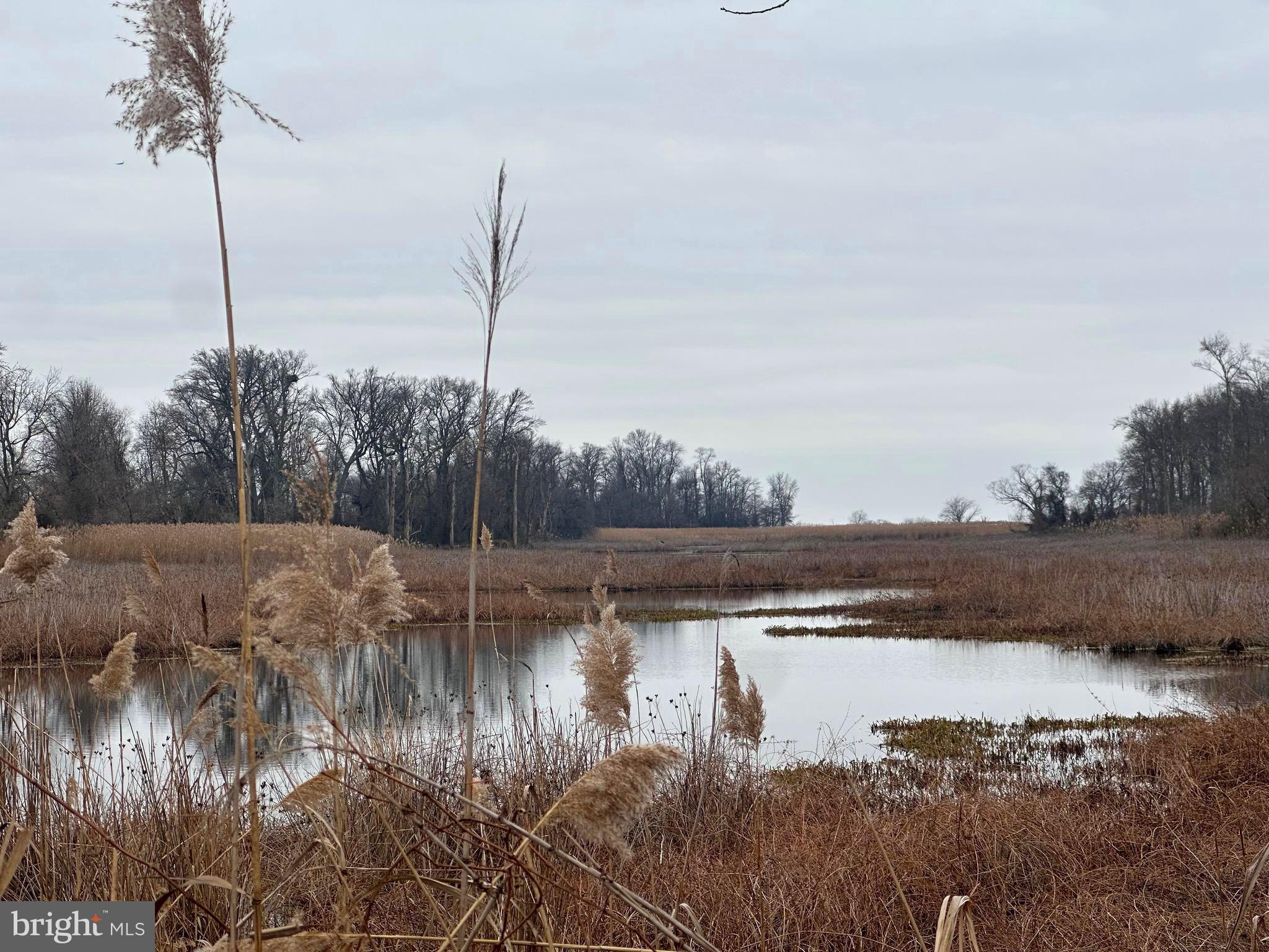 6520 Swan Creek Road Rock Hall, MD 21661 - Photo 48 of 62 a view of lake with green space