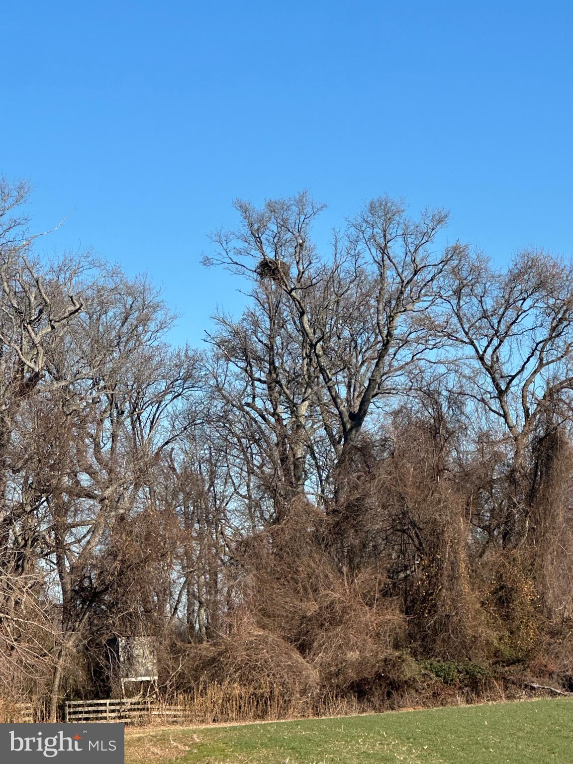 6520 Swan Creek Road Rock Hall, MD 21661 - Photo 49 of 62 a view of a field with trees in background