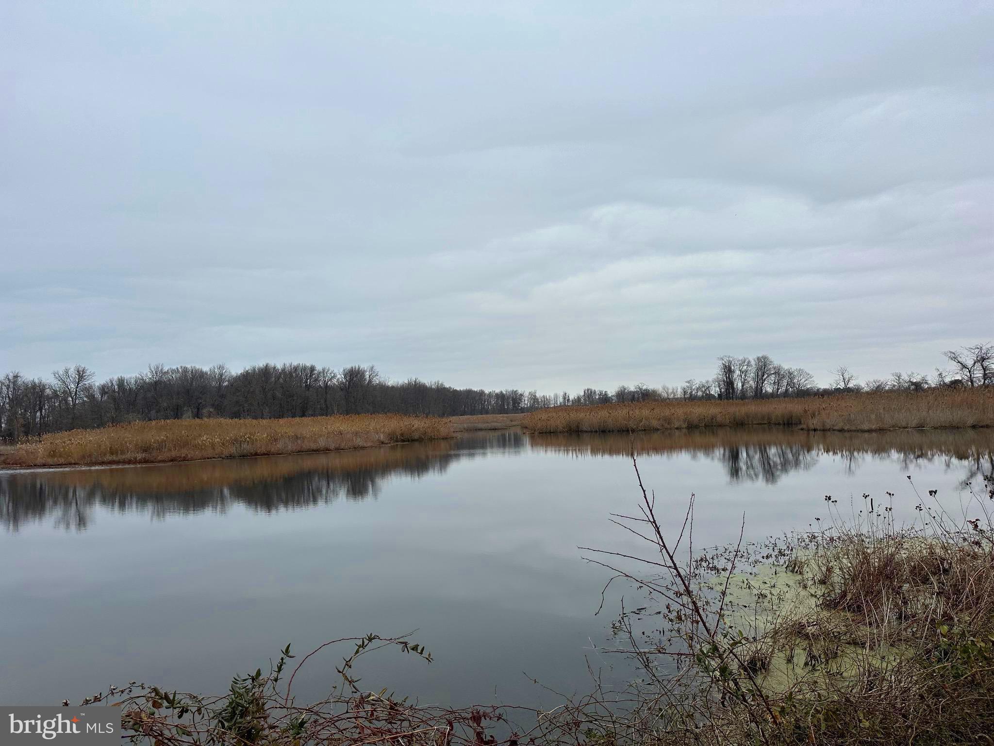 6520 Swan Creek Road Rock Hall, MD 21661 - Photo 51 of 62 a view of a lake