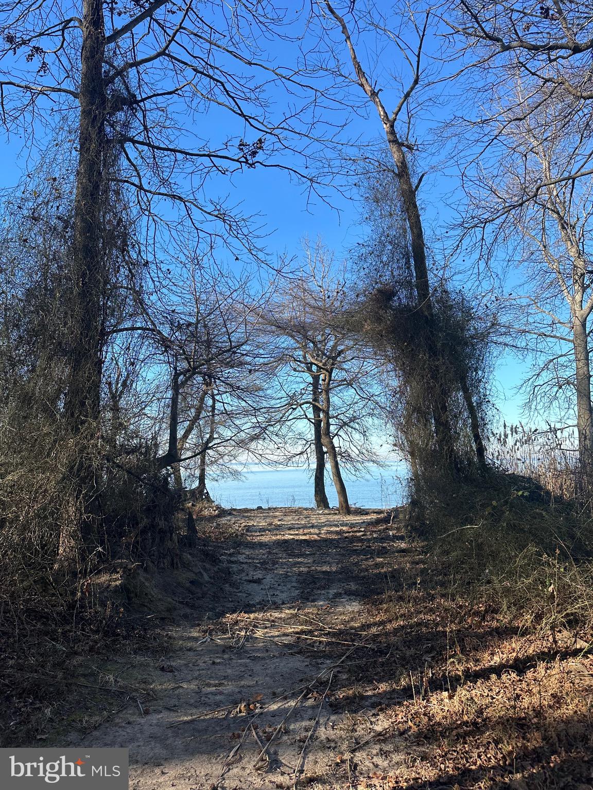 6520 Swan Creek Road Rock Hall, MD 21661 - Photo 52 of 62 a view of a yard with wooden fence