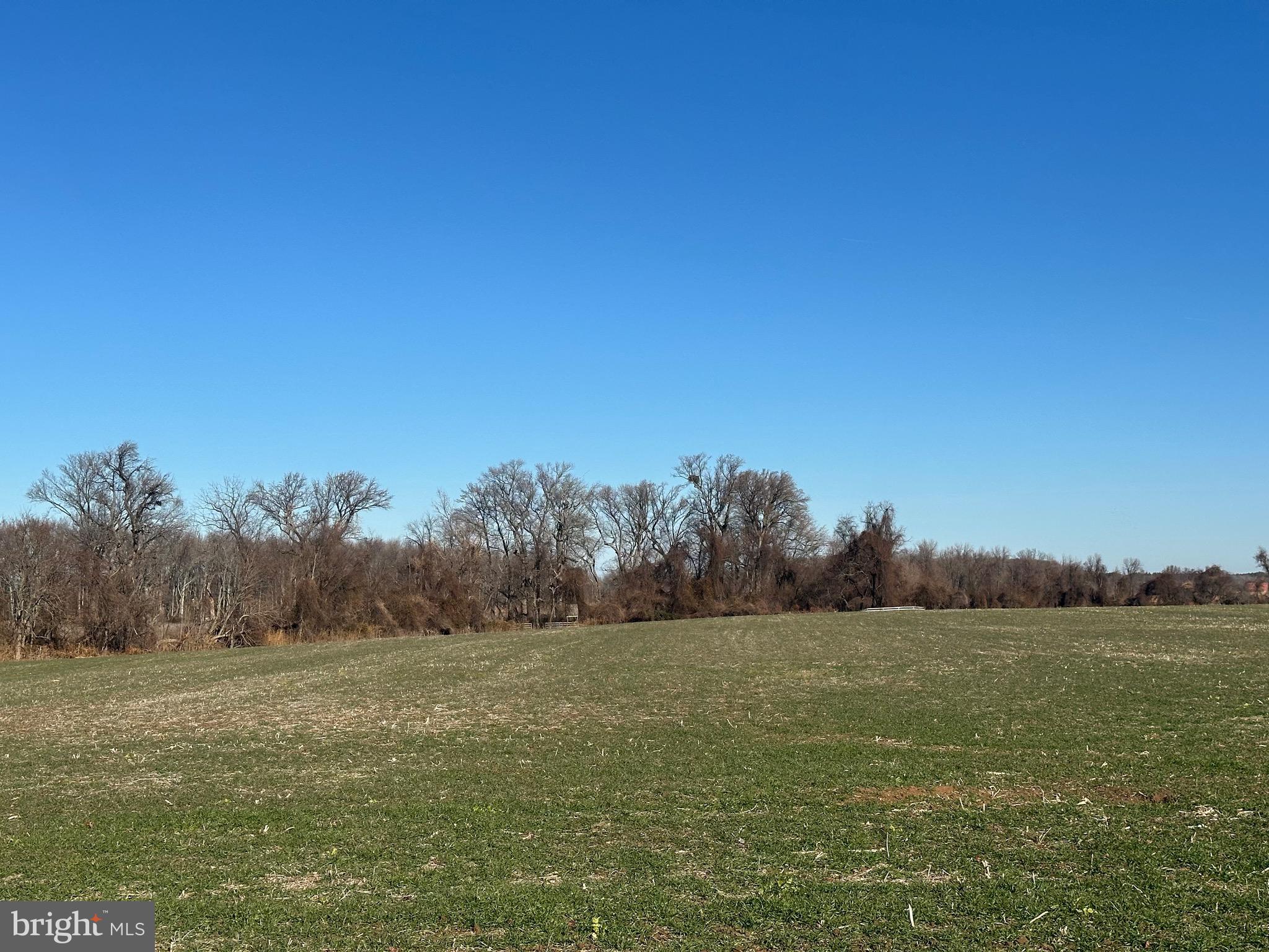 6520 Swan Creek Road Rock Hall, MD 21661 - Photo 54 of 62 a view of a field with trees in background