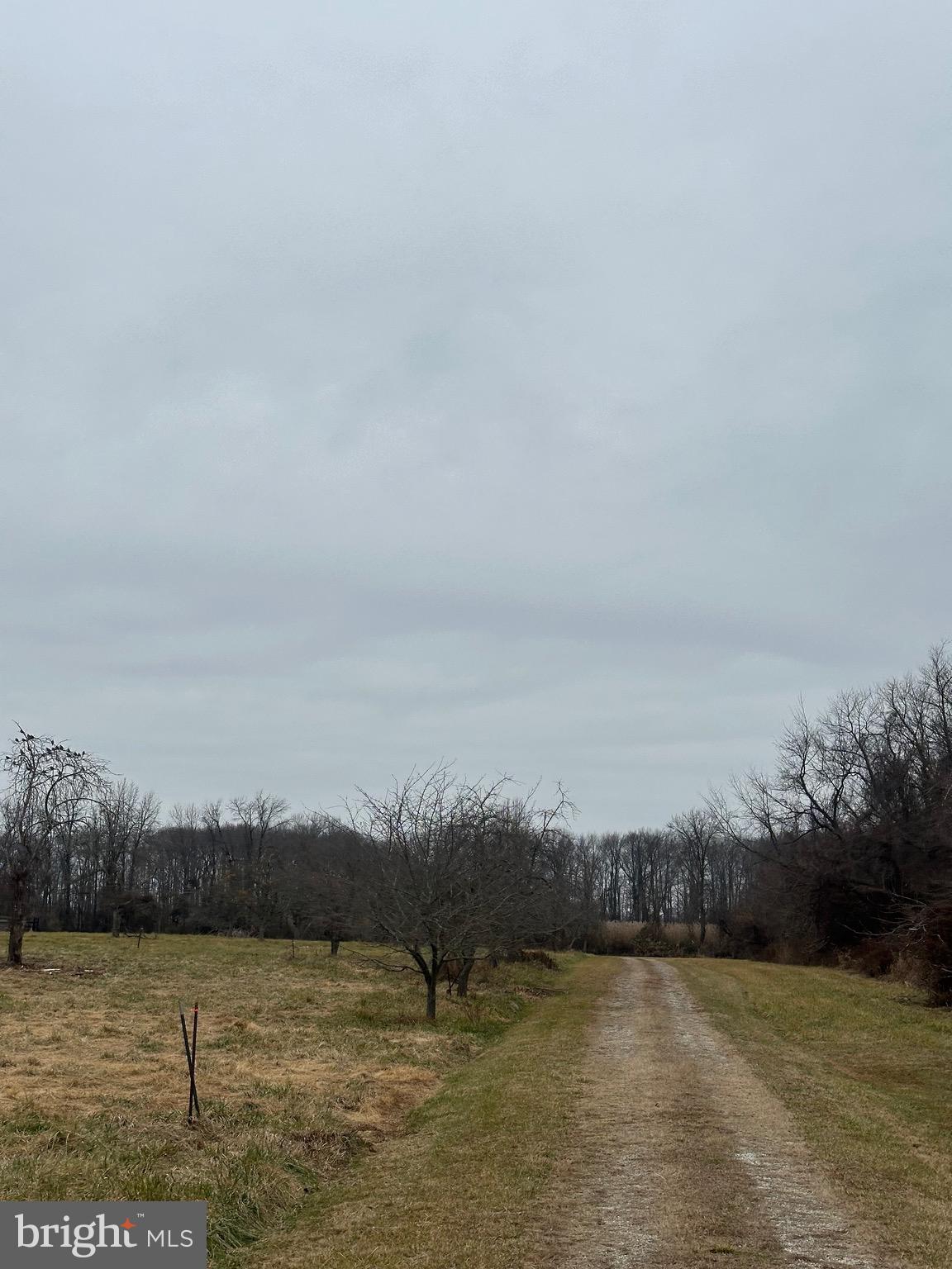 6520 Swan Creek Road Rock Hall, MD 21661 - Photo 56 of 62 a view of a lake view and mountain view