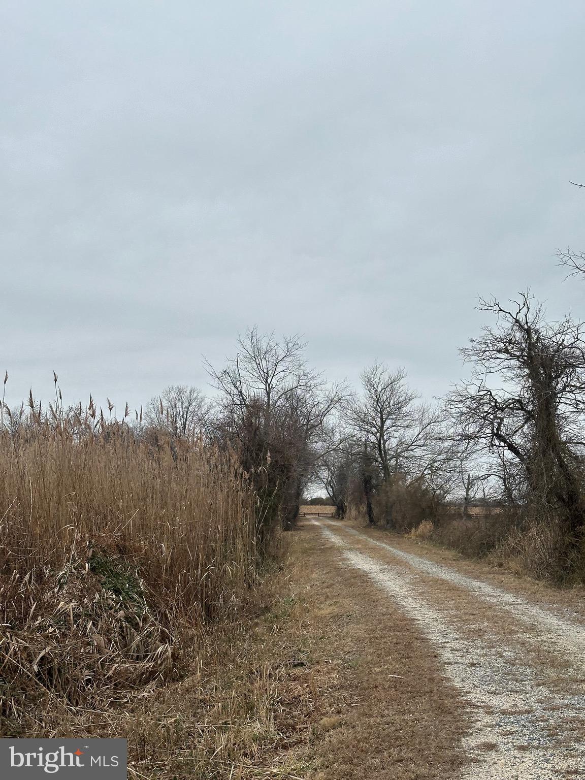 6520 Swan Creek Road Rock Hall, MD 21661 - Photo 58 of 62 a view of a dry yard with wooden fence