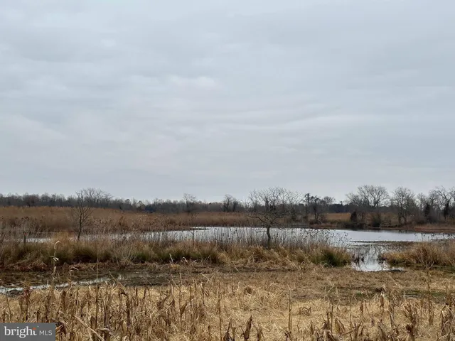 $3,500,000 | 6520 Swan Creek Road, Rock Hall, MD 21661