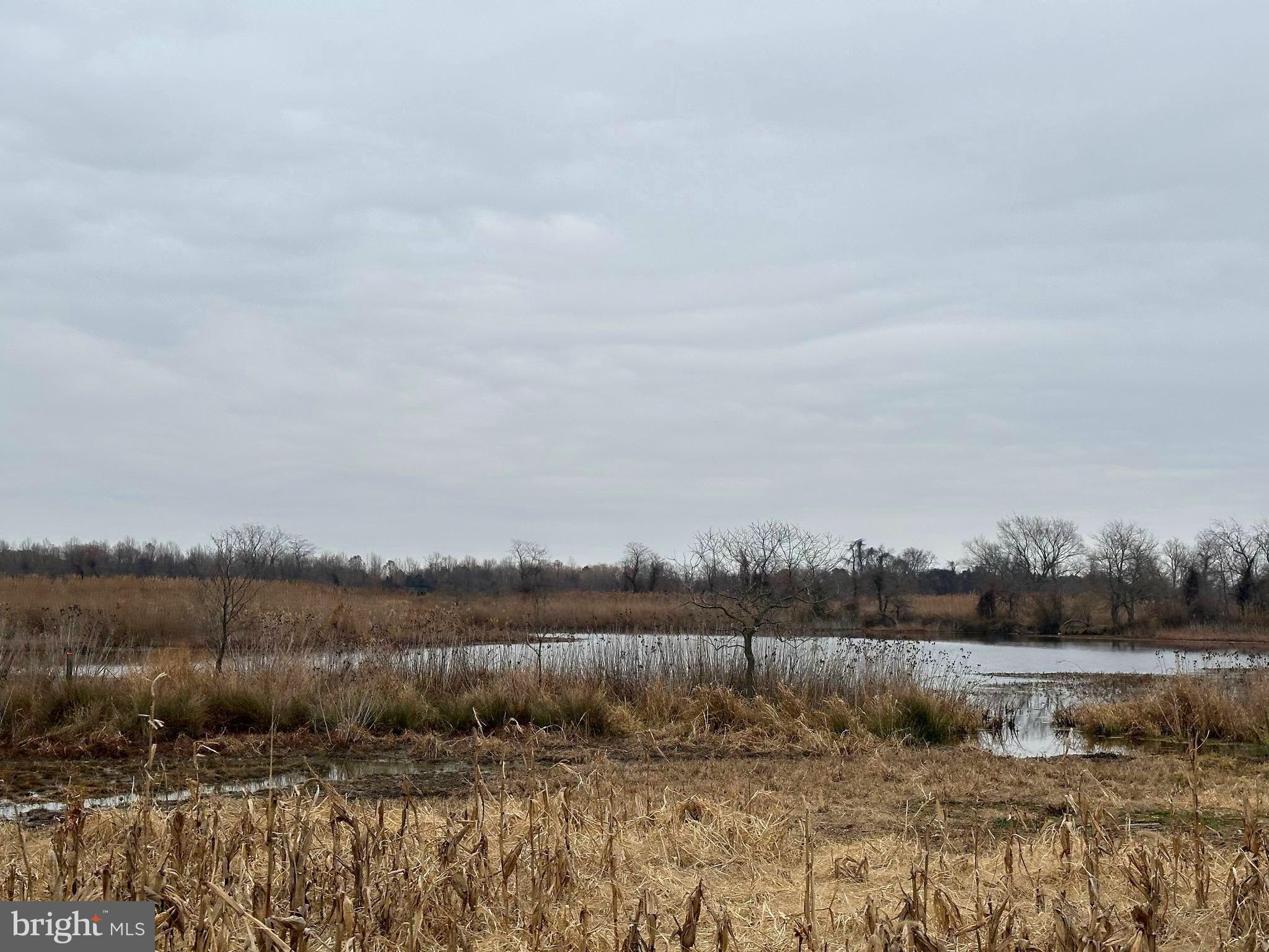 6520 Swan Creek Road Rock Hall, MD 21661 - Photo 60 of 62 a view of lake view and mountain