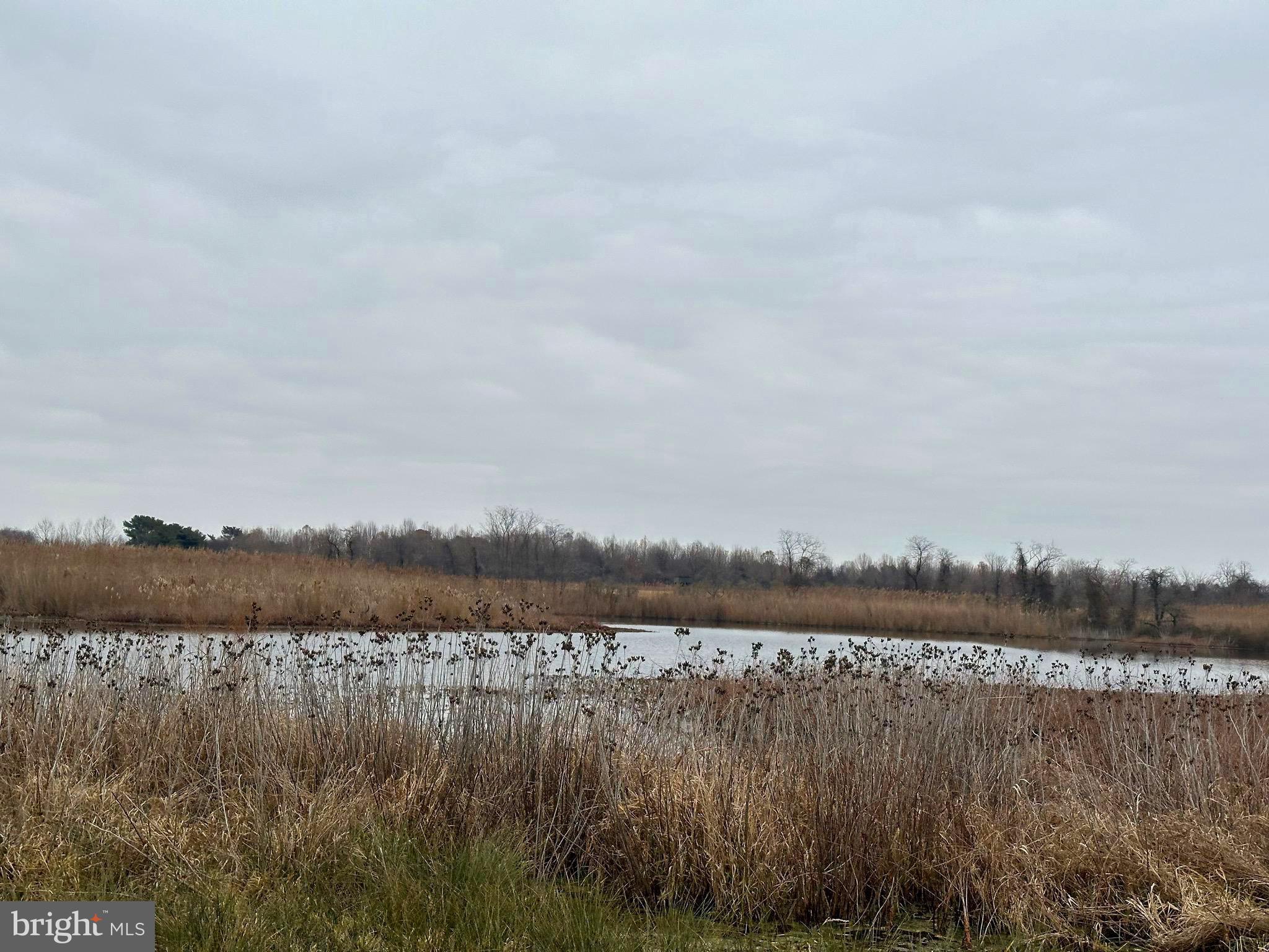 6520 Swan Creek Road Rock Hall, MD 21661 - Photo 61 of 62 a view of lake