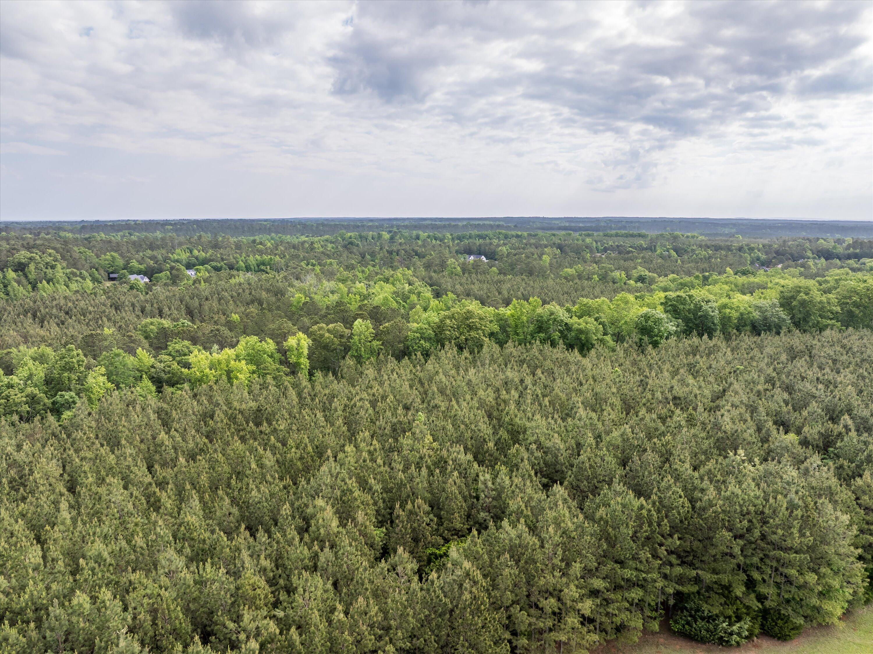 5750 Cobbham Road Appling, GA 30802 - Photo 5 of 9 52-Lot 3_5