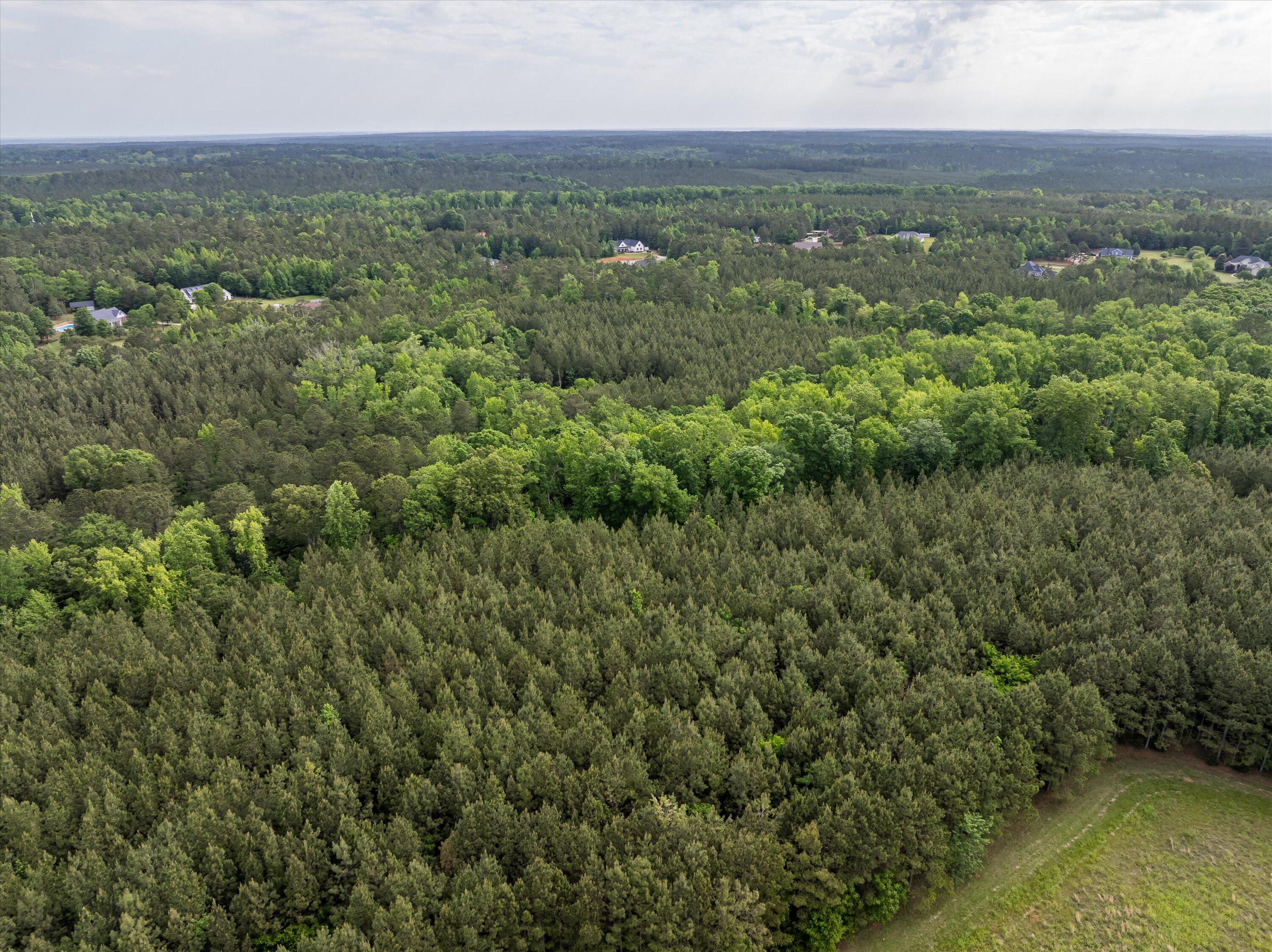 5750 Cobbham Road Appling, GA 30802 - Photo 6 of 9 53-Lot 3