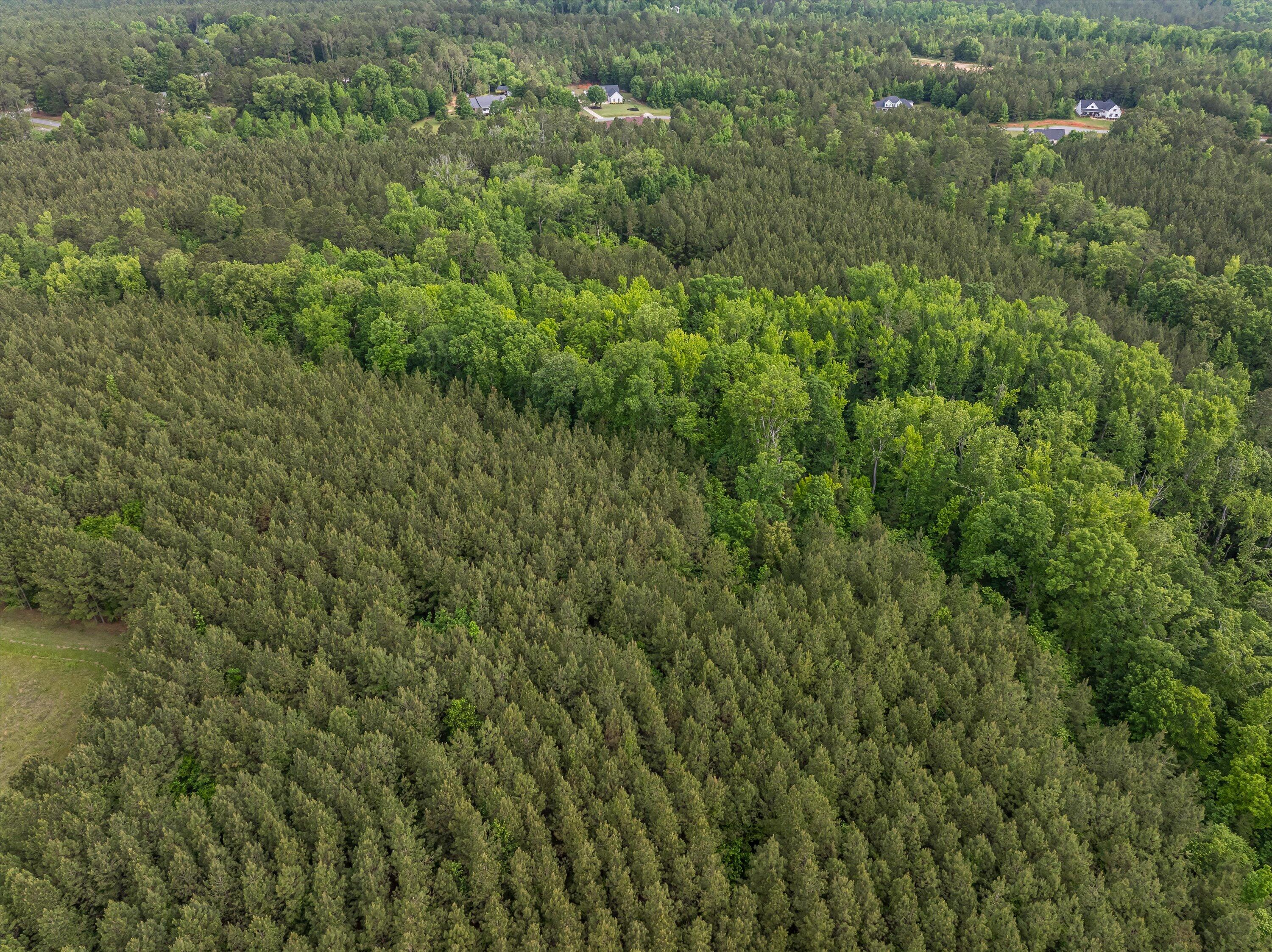 5750 Cobbham Road Appling, GA 30802 - Photo 7 of 9 55-Lot 3_8