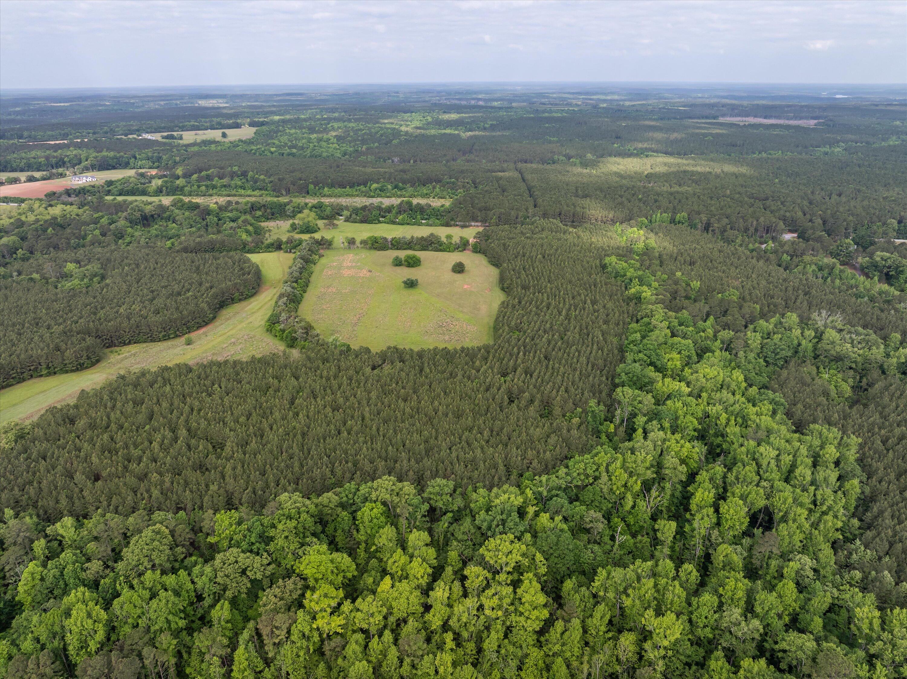 5750 Cobbham Road Appling, GA 30802 - Photo 9 of 9 57-Lot 3_10