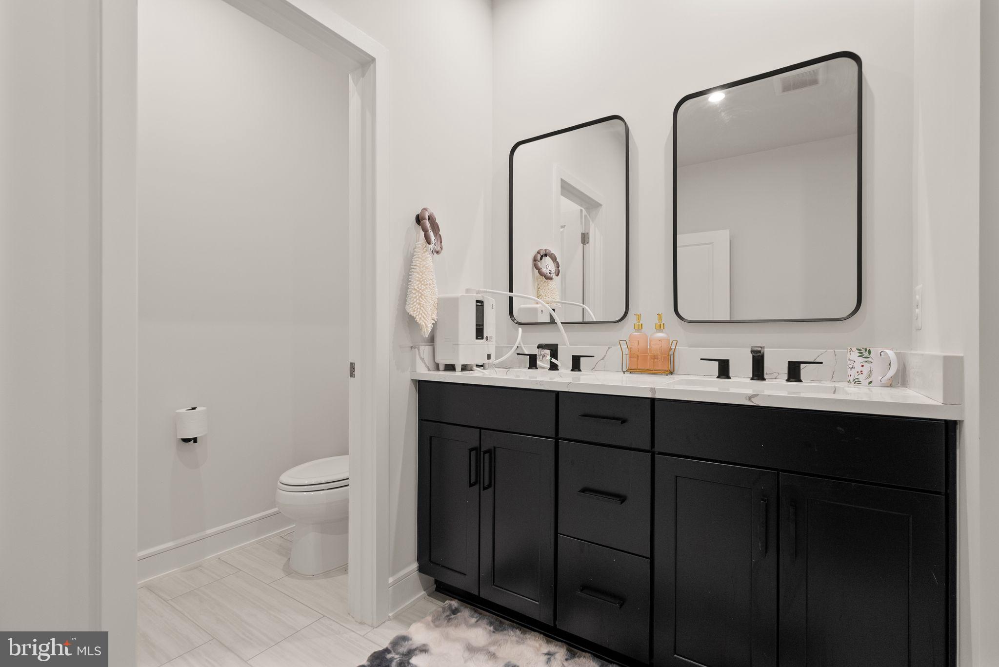 23062 Copper Tree Terrace Ashburn, VA 20148 - Photo 20 of 38 a bathroom with a double vanity sink toilet and mirror