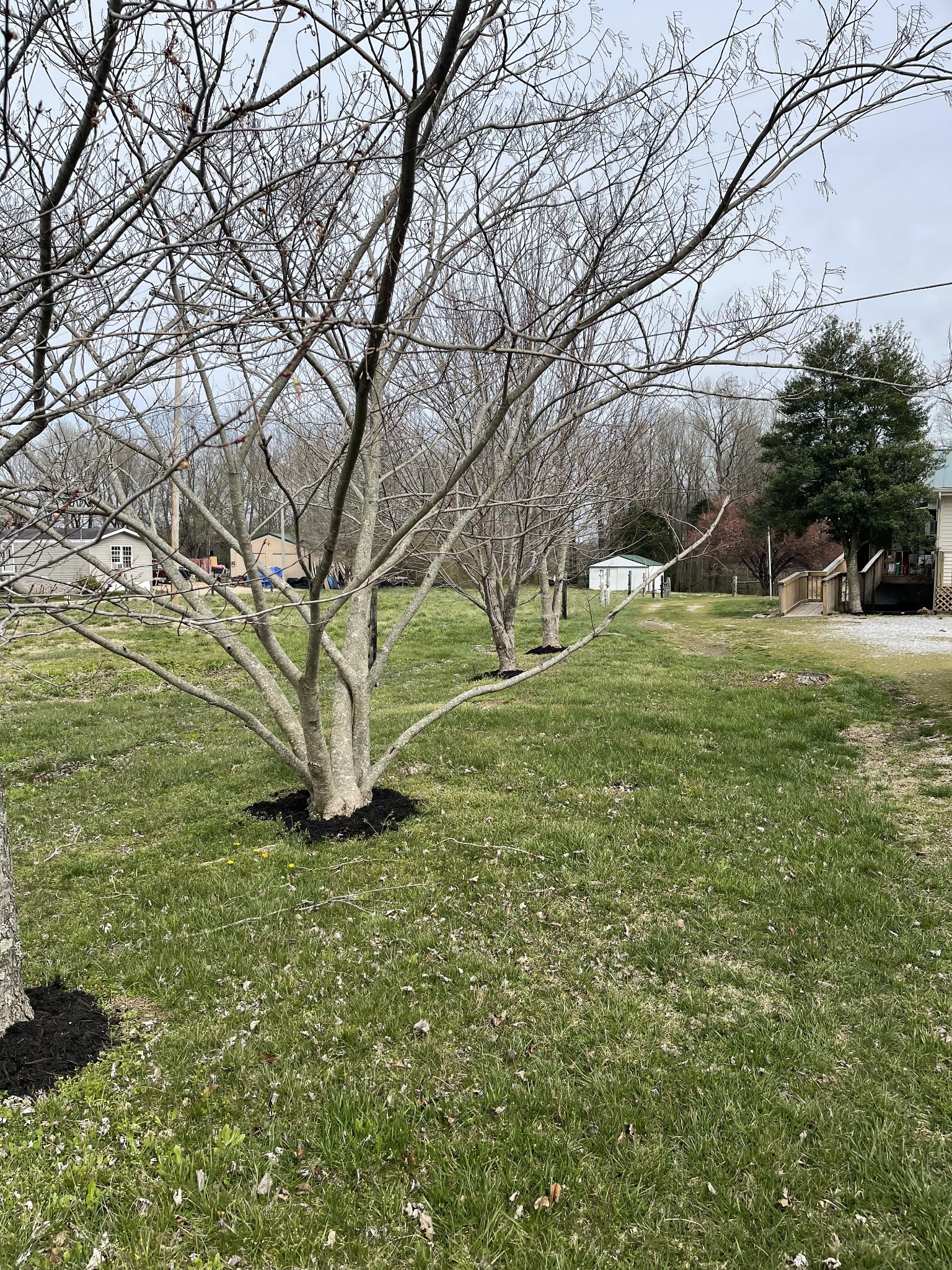1148 Spring Creek Road Lafayette, TN 37083 - Photo 8 of 40 Gallery Image 8