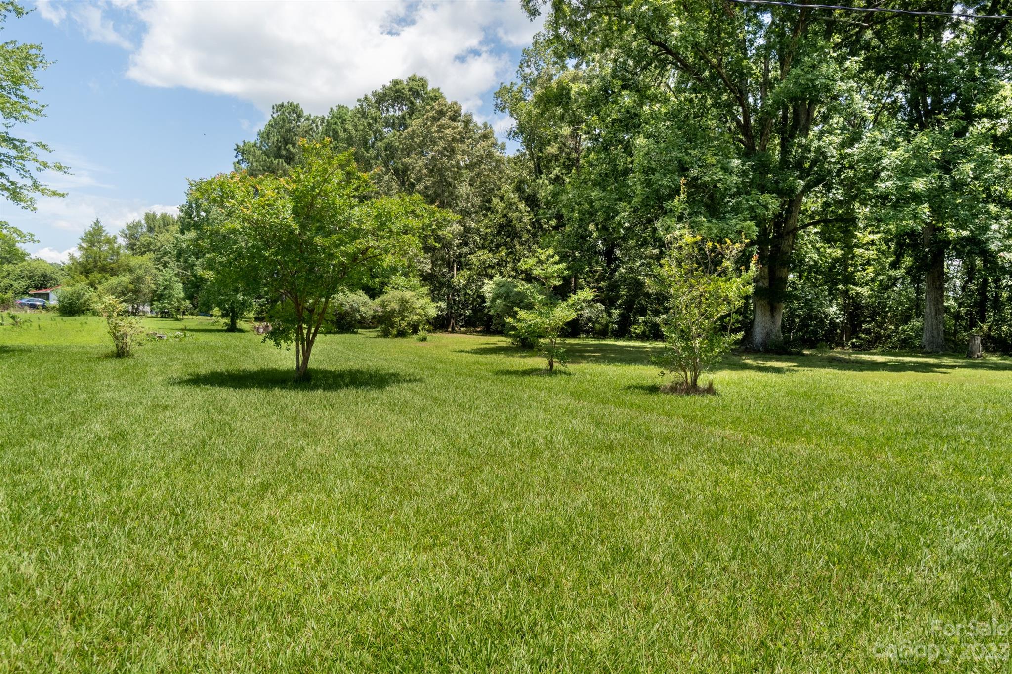 17158 Pond Road Locust, NC 28097 - Photo 3 of 28 a view of a tree in a park