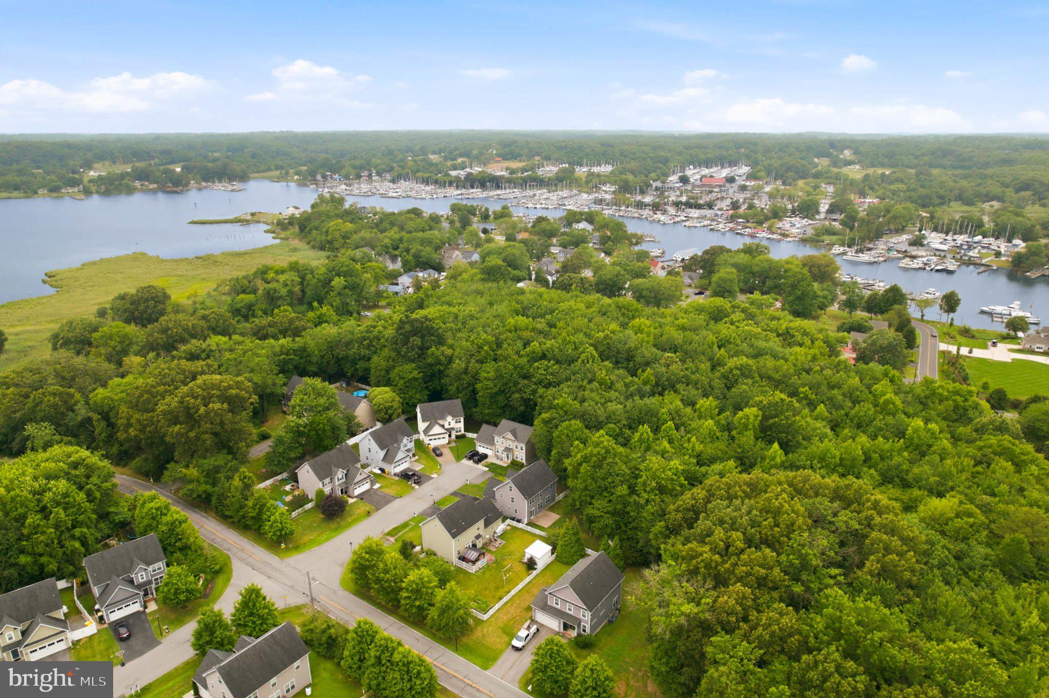 706 Trapper Way Deale, MD 20751 - Photo 4 of 61 Lush greenery meets serene waterscape.