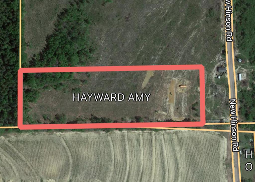 2776 New Hinson Road Slocomb, AL 36375 - Photo 12 of 12