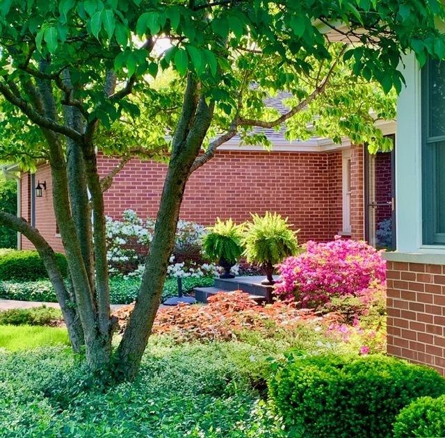 454 Harvard Avenue Barrington, IL 60010 - Photo 4 of 46