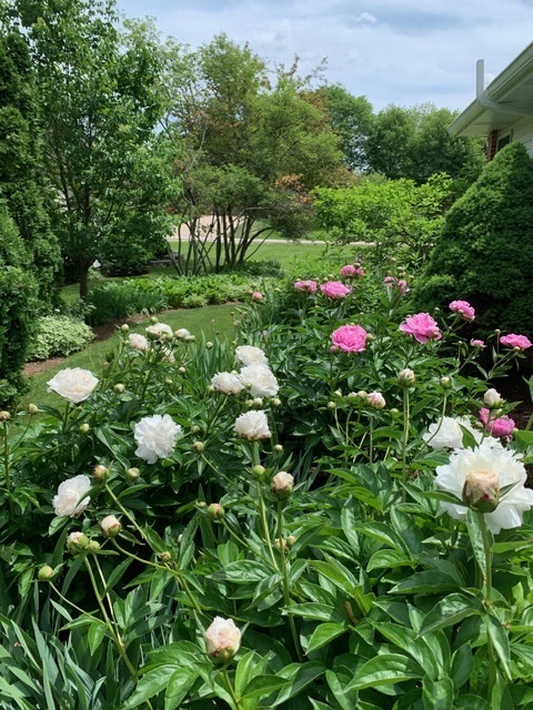 454 Harvard Avenue Barrington, IL 60010 - Photo 42 of 46