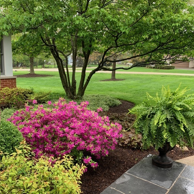 454 Harvard Avenue Barrington, IL 60010 - Photo 5 of 46