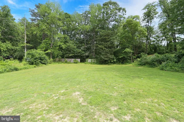 a view of yard with green space