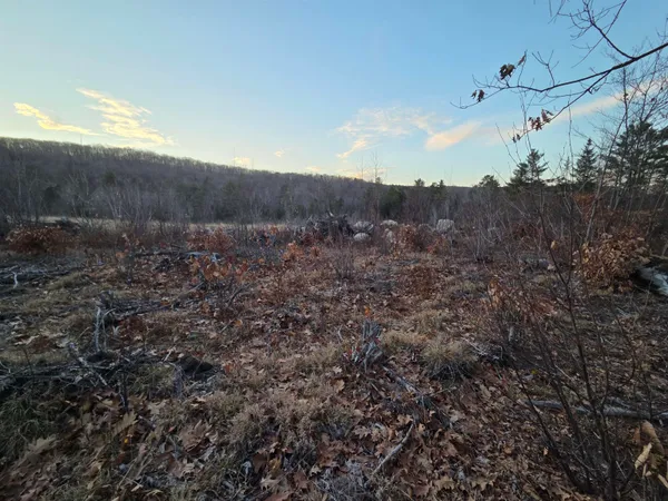 $85,000 | 672-5 Bog Road, Unit LOT 5, Enfield, NH 03753
