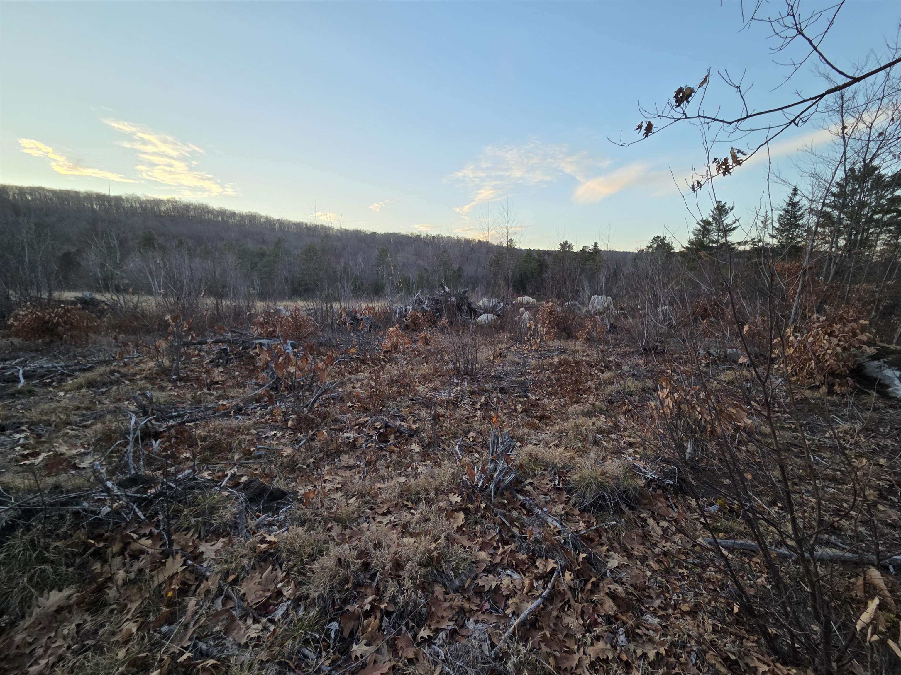 672-5 Bog Road, Unit LOT 5 Enfield, NH 03753 - Photo 1 of 5