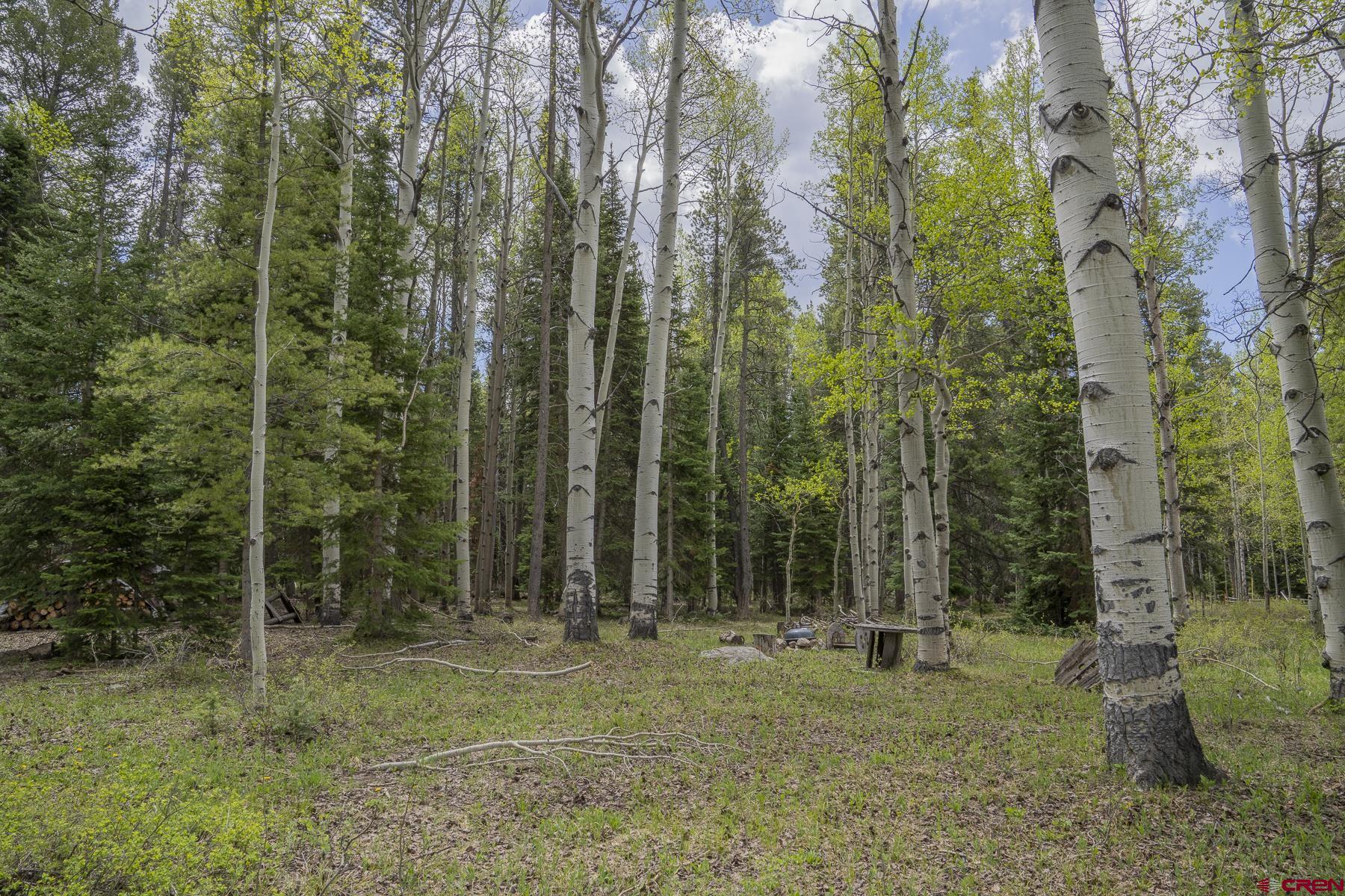1311 Sioux Road Gunnison, CO 81230 - Photo 23 of 44 Gallery Image 23