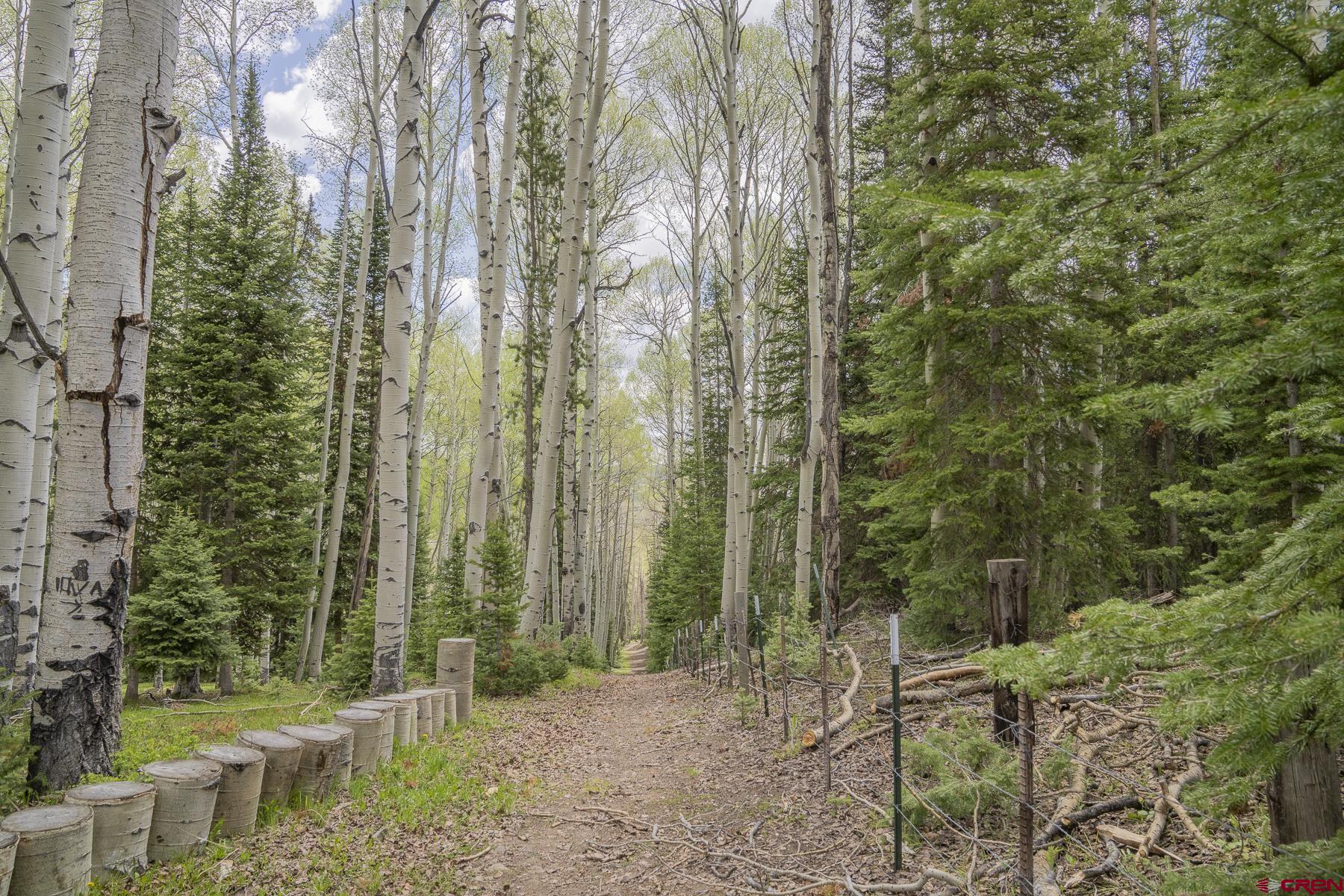 1311 Sioux Road Gunnison, CO 81230 - Photo 27 of 44 Gallery Image 27