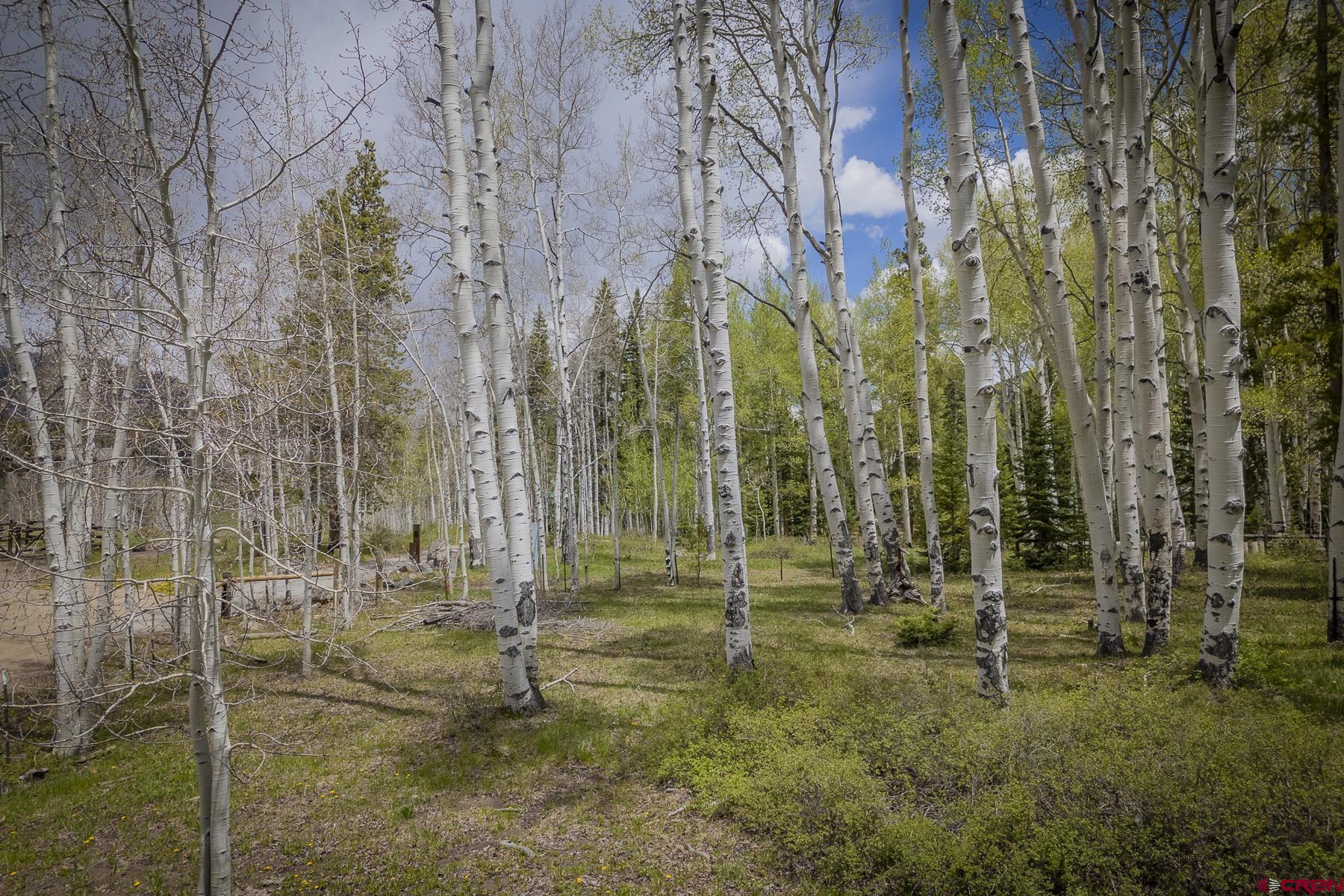 1311 Sioux Road Gunnison, CO 81230 - Photo 29 of 44 Gallery Image 29