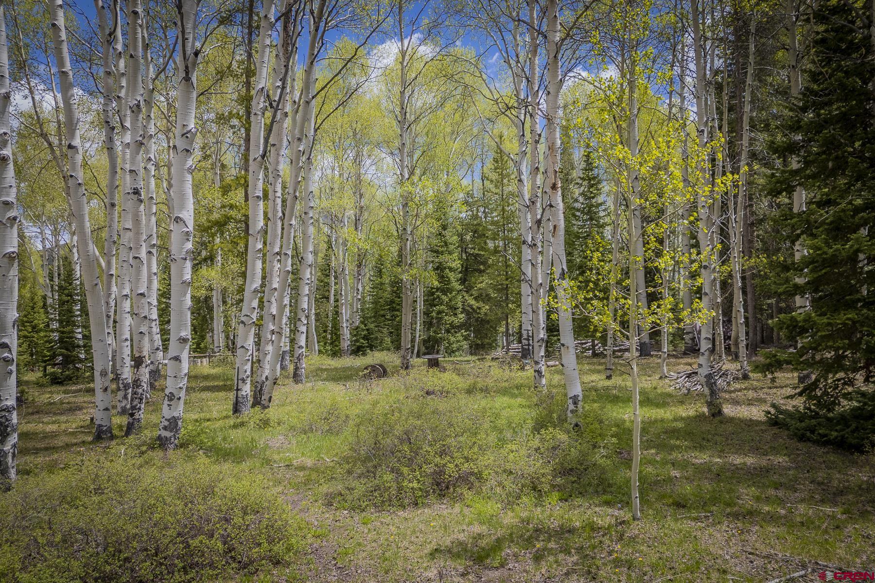 1311 Sioux Road Gunnison, CO 81230 - Photo 30 of 44 Gallery Image 30