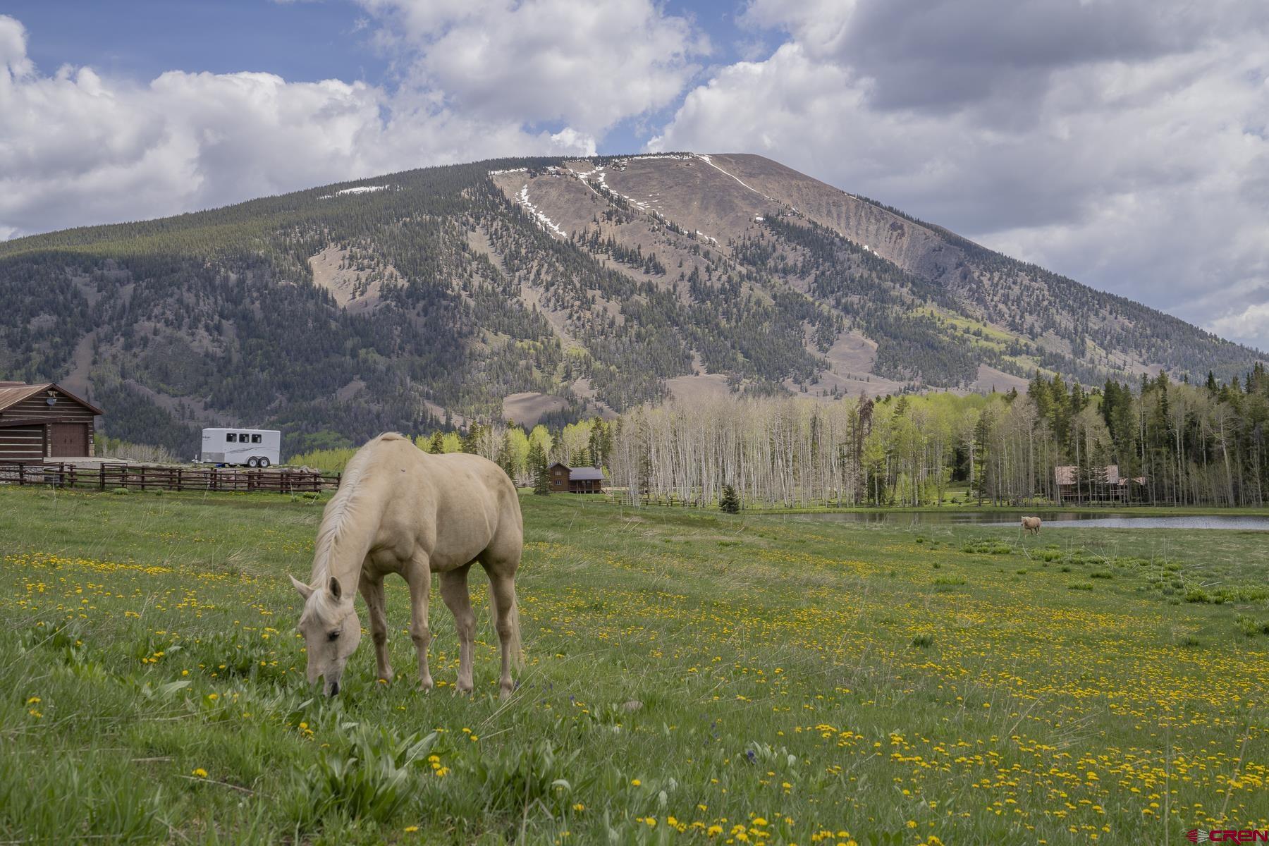 1311 Sioux Road Gunnison, CO 81230 - Photo 32 of 44 Gallery Image 32