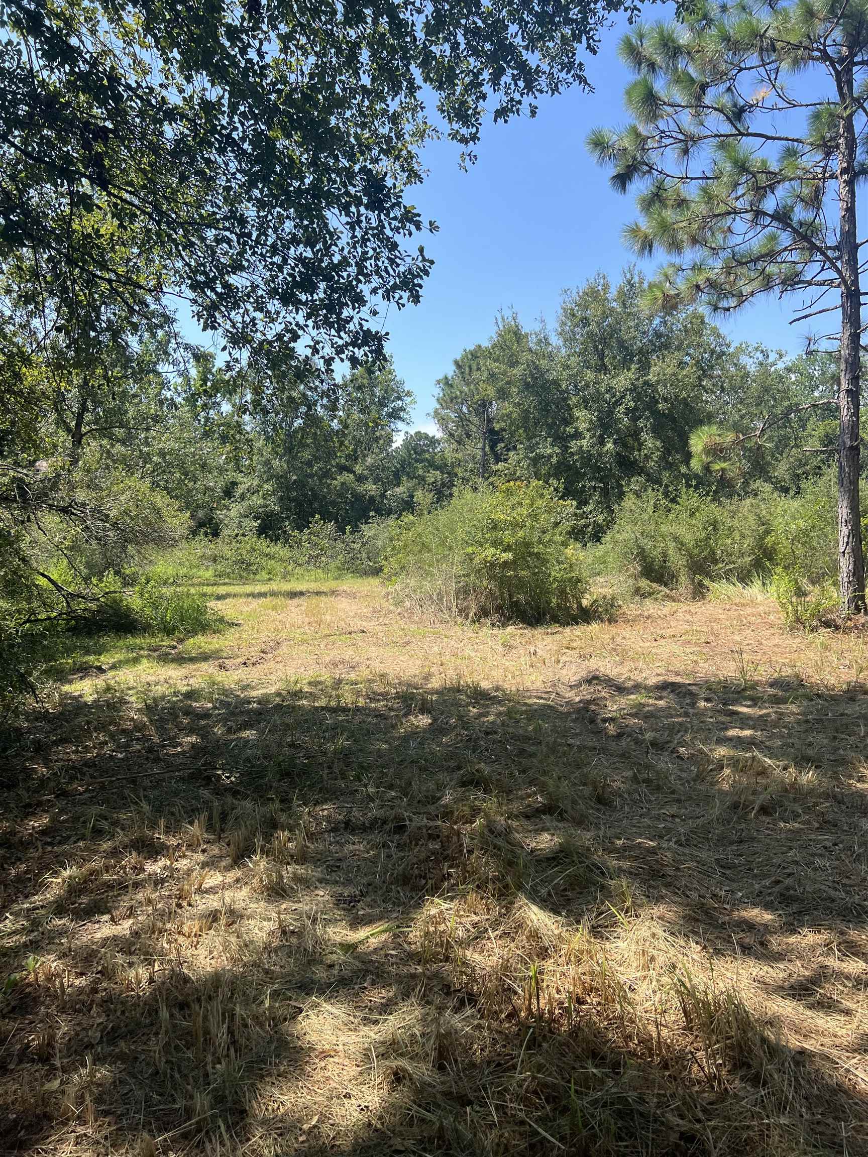 0 Cactus Court Elberta, AL 36530 - Photo 18 of 24