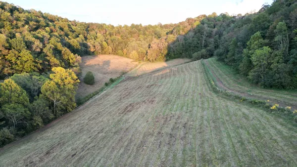 $354,900 | 46 Carver Hollow Lane, Pleasant Shade, TN 37145