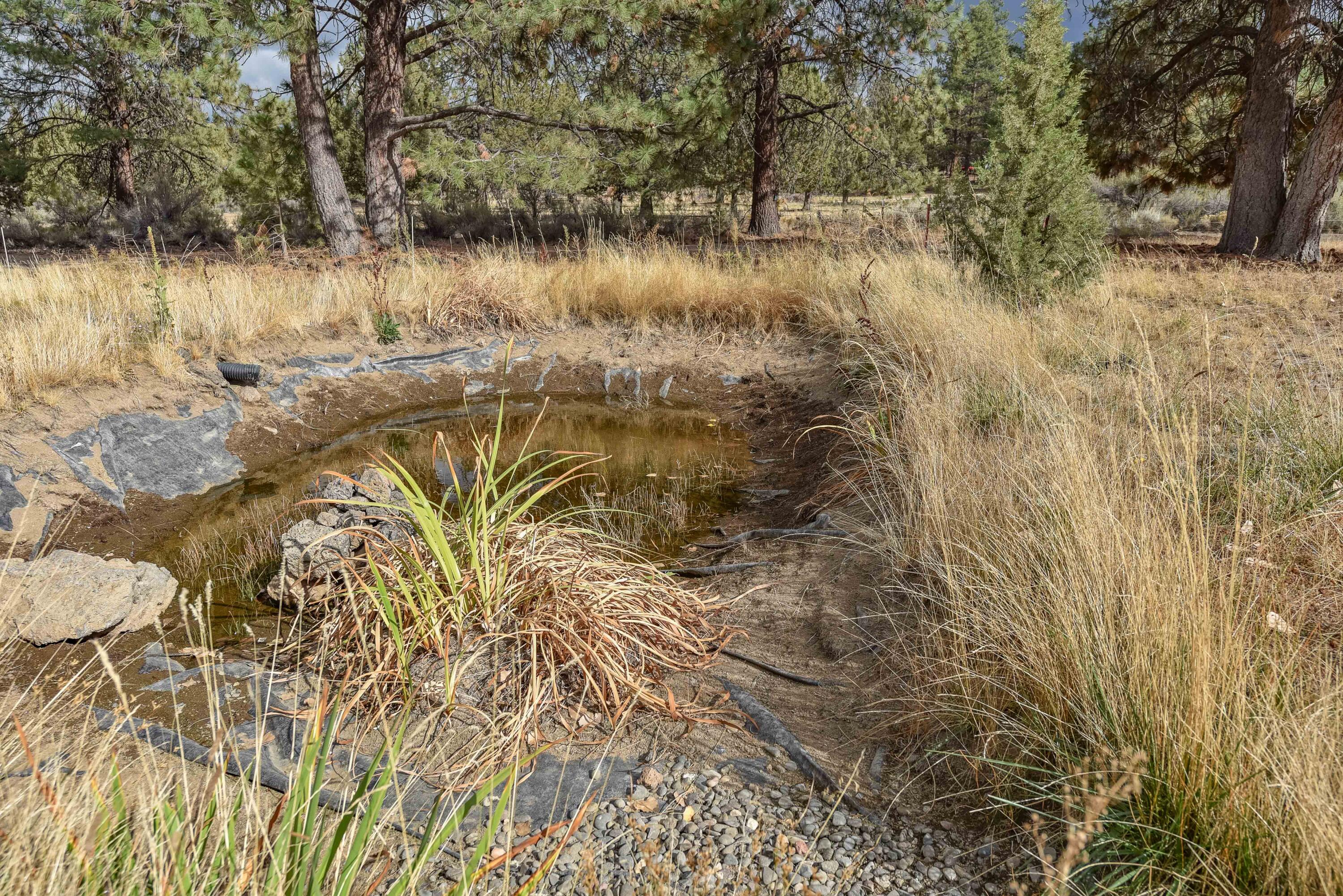 21698 Rickard Road Bend, OR 97702 - Photo 35 of 51 Smaller of the two ponds on the property.