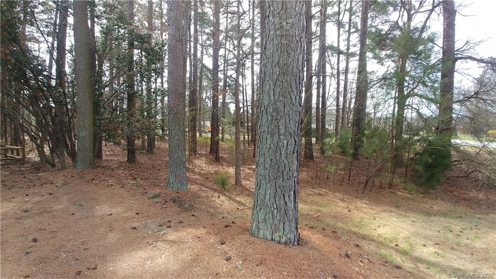 5320 Davidson Road Davidson, NC 28036 - Photo 2 of 23 Gallery Image 2