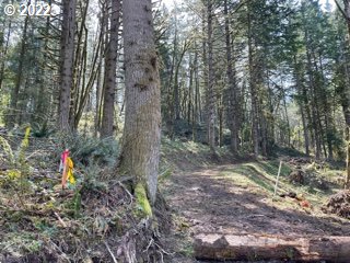 15622 South Wave Road Mulino, OR 97042 - Photo 7 of 9 Gallery Image 7
