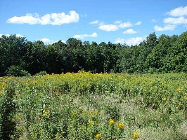 Lot 15 50th Street Clear Lake, WI 54005 - Photo 1 of 1 Gallery Image 1