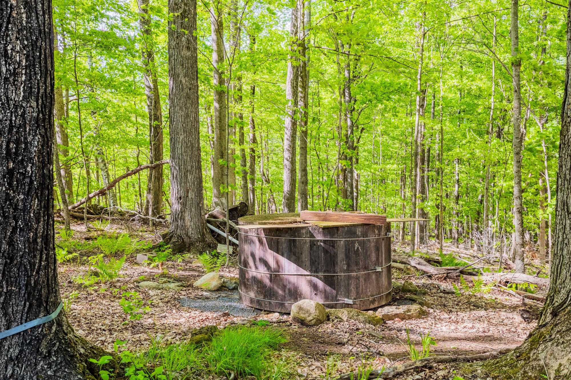 417 Maple Hill Road Arlington, VT 05250 - Photo 20 of 34